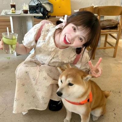 闹剧谜案